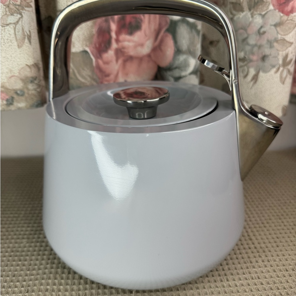 CARAWAY WHISTLING KETTLE TEA  GRAY
